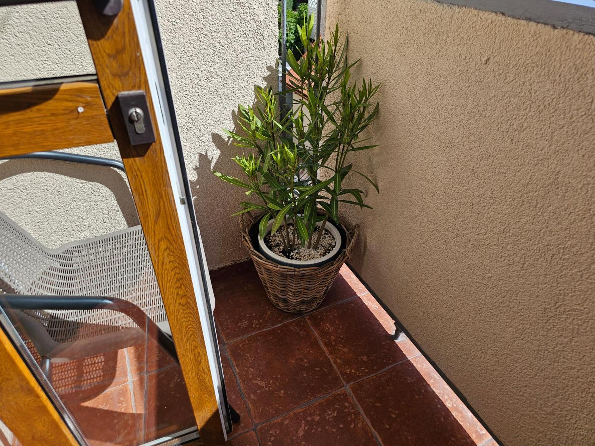 גריפיצה Apartamenty Luna A-B מראה חיצוני תמונה